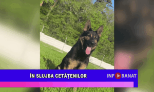În slujba cetățenilor