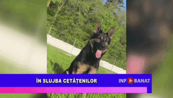 În slujba cetățenilor