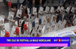 Trei zile de festival la Băile Herculane