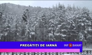 Pregătiți de iarnă