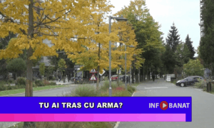 Tu ai tras cu arma?