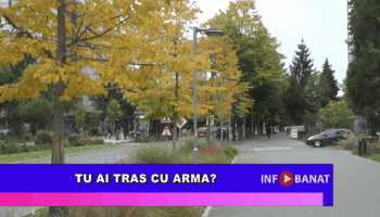Tu ai tras cu arma?