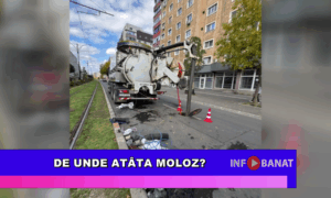De unde atâta moloz?