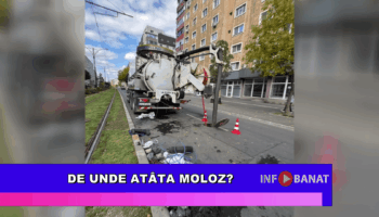 De unde atâta moloz?