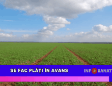 Se fac plăți în avans