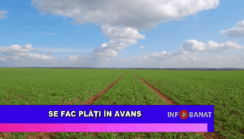 Se fac plăți în avans