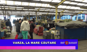 Varza, la mare căutare