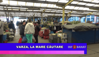 Varza, la mare căutare