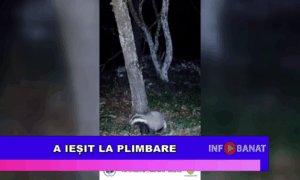 A ieșit la plimbare