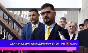 CCR, veșnicul garant al privilegiaților din sistem!