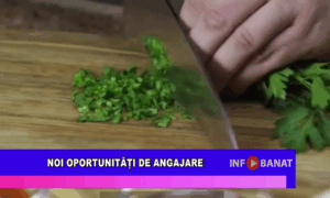 Noi oportunități de angajare