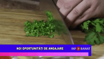 Noi oportunități de angajare