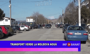 Transport verde la Moldova Nouă