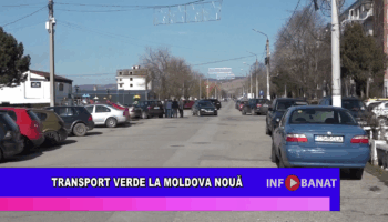 Transport verde la Moldova Nouă