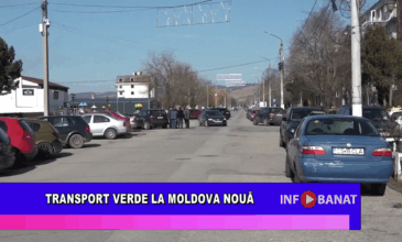 Transport verde la Moldova Nouă