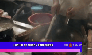 Locuri de muncă prin EURES