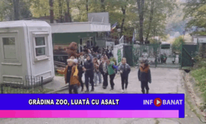 Grădina Zoologică, luată cu asalt