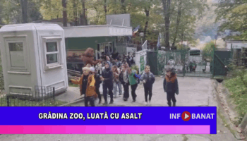 Grădina Zoologică, luată cu asalt