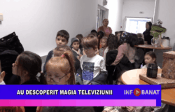 Au descoperit magia televiziunii