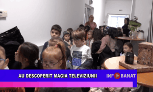 Au descoperit magia televiziunii