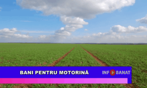 Bani pentru motorină