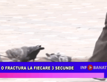 O fractură la fiecare 3 secunde