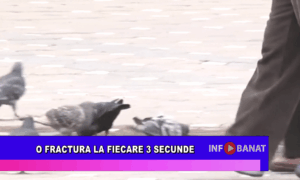 O fractură la fiecare 3 secunde