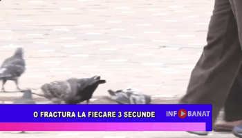 O fractură la fiecare 3 secunde