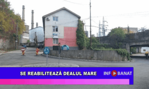 Se reabilitează Dealul Mare