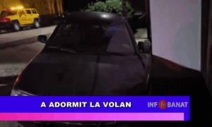 A adormit la volan