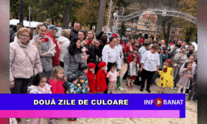 Două zile de culoare