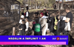 Mădălin a împlinit 1 an