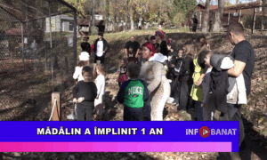 Mădălin a împlinit 1 an