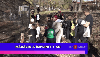 Mădălin a împlinit 1 an