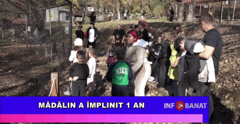 Mădălin a împlinit 1 an