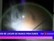 350 de locuri de muncă prin EURES