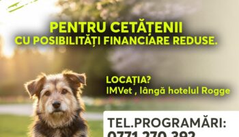 Sterilizare GRATUITĂ pentru animalele cu stăpân din Reșița