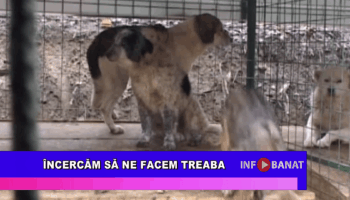 Încercăm să ne facem treaba