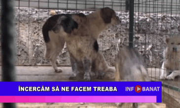 Încercăm să ne facem treaba