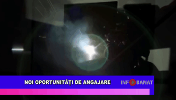 Noi oportunități de angajare