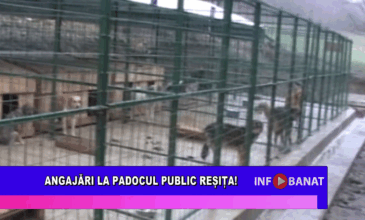 Angajări la Padocul Public Reșița!