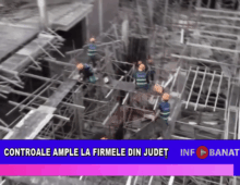 Controale ample la firmele din județ