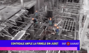 Controale ample la firmele din județ