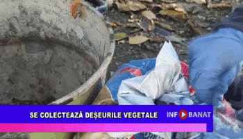 Se colectează deșeurile vegetale