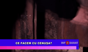 Ce facem cu cenușa?