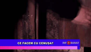 Ce facem cu cenușa?
