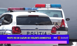 Peste 950 de cazuri de violență domestică