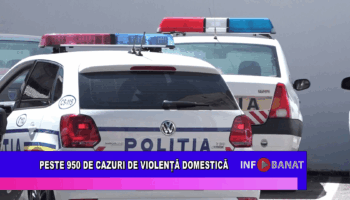 Peste 950 de cazuri de violență domestică