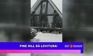 Pine Hill dă lovitura