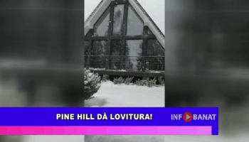 Pine Hill dă lovitura